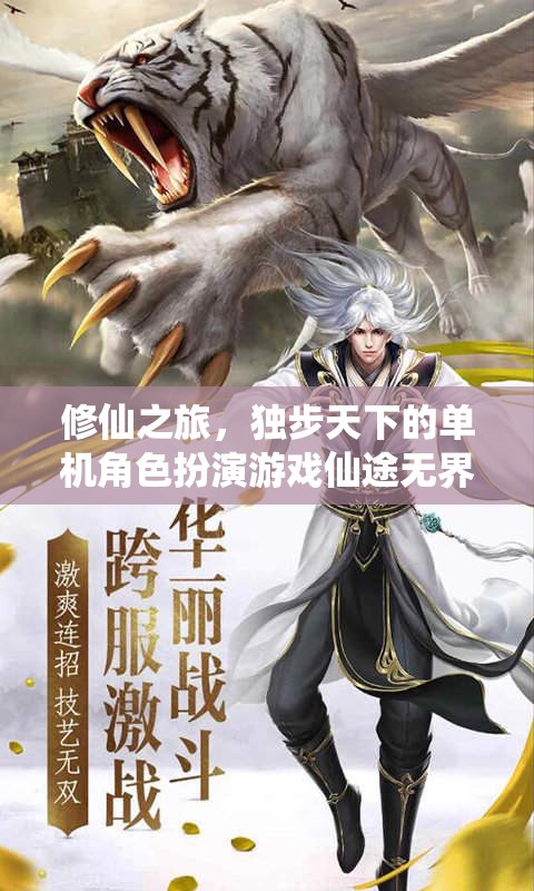 獨(dú)步天下的仙途無(wú)界，修仙之旅