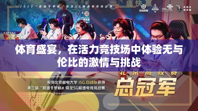 活力競(jìng)技場(chǎng)，體驗(yàn)體育盛宴的激情與挑戰(zhàn)