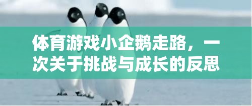 小企鵝的行走挑戰(zhàn)，一場關(guān)于勇氣與成長的體育游戲反思之旅