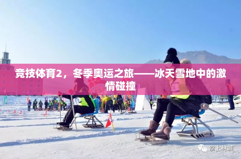 冰雪盛宴，冬季奧運(yùn)之旅的競(jìng)技激情
