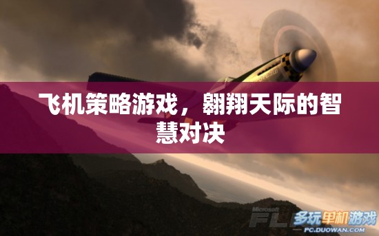 翱翔天際的智慧對(duì)決，飛機(jī)策略游戲