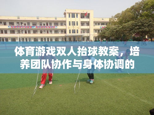 雙人抬球，培養(yǎng)團(tuán)隊(duì)協(xié)作與身體協(xié)調(diào)的趣味體育游戲教案