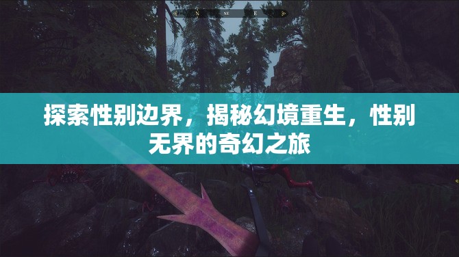 性別無(wú)界，探索幻境重生的奇幻之旅
