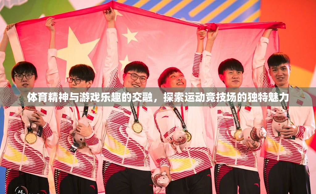 體育精神與游戲樂趣的交融，探索運動競技場的獨特魅力