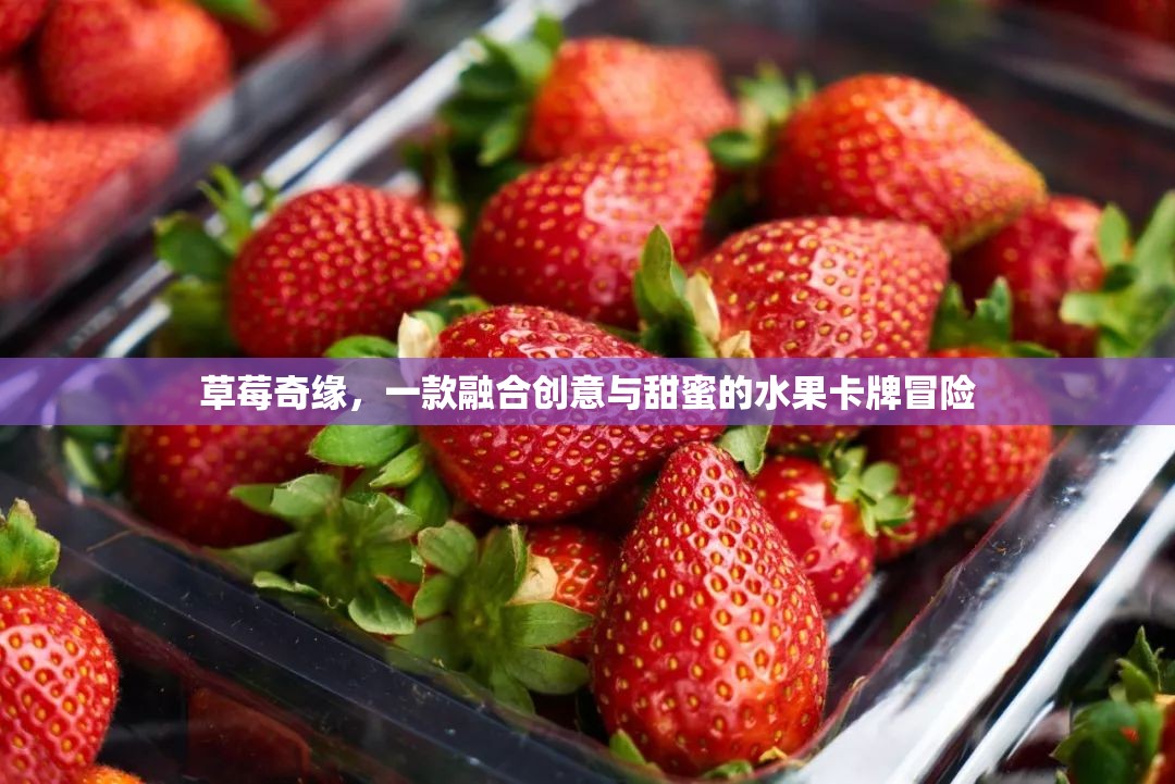 草莓奇緣，創(chuàng)意與甜蜜交織的水果卡牌冒險(xiǎn)之旅