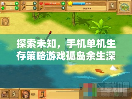 孤島余生，探索未知的生存策略手機(jī)單機(jī)游戲深度解析