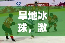 旱地冰球，激情與技巧并重的體育游戲教案設(shè)計(jì)
