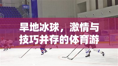旱地冰球，激情與技巧并重的體育游戲教案設(shè)計(jì)