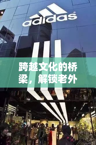 跨越文化的橋梁，解鎖老外的創(chuàng)意游戲新體驗(yàn)