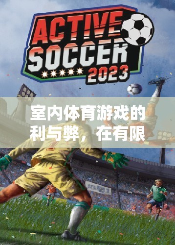 室內(nèi)體育游戲，在有限空間中釋放無限活力的利與弊
