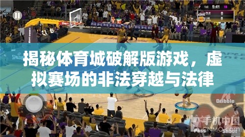 揭秘體育城破解版游戲，虛擬賽場的非法穿越與法律邊緣的灰色地帶