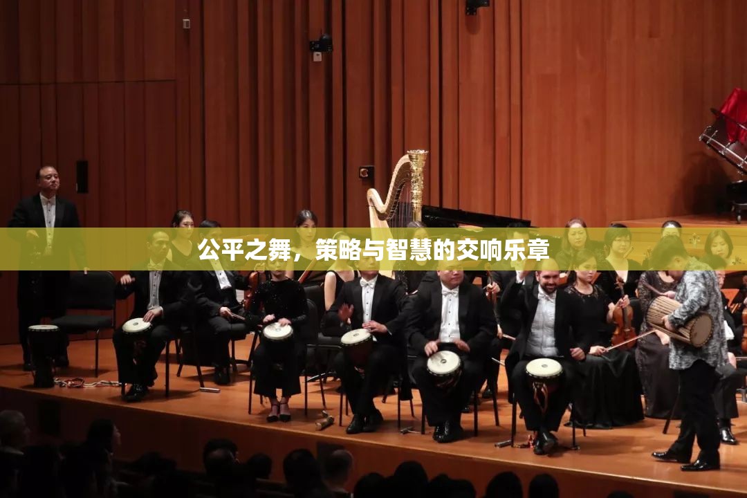 公平之舞，策略與智慧的交響樂(lè)章