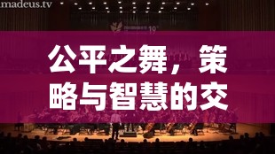 公平之舞，策略與智慧的交響樂(lè)章