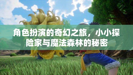 小小探險(xiǎn)家與魔法森林的奇幻之旅，揭秘角色扮演的奇妙世界