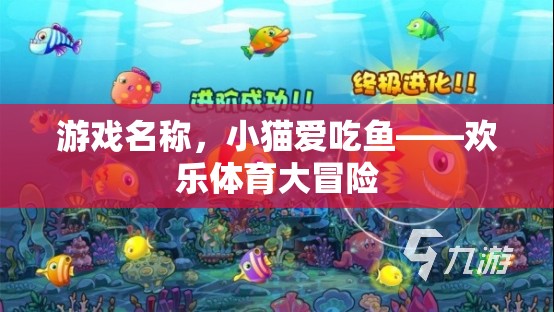 小貓愛吃魚，歡樂體育大冒險