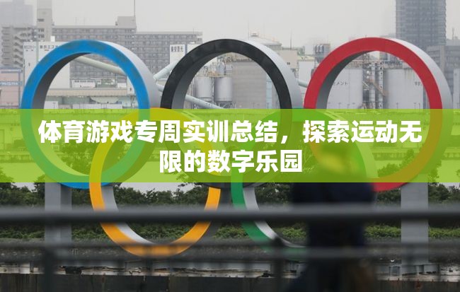 探索運動無限，體育游戲專周實訓的數(shù)字樂園之旅