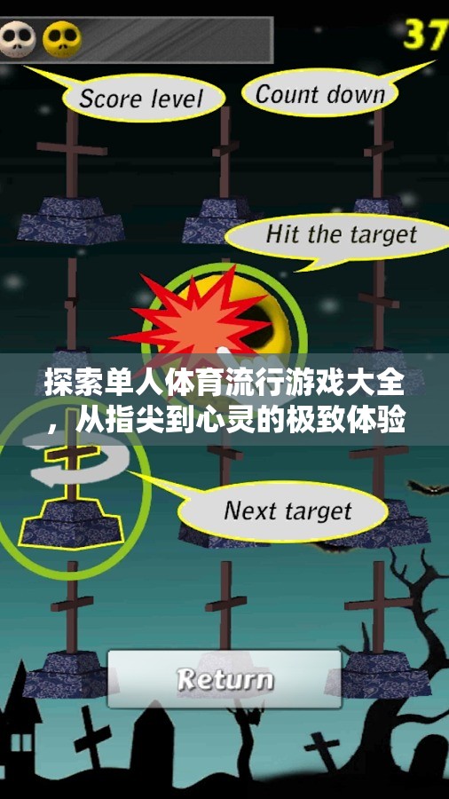 從指尖到心靈的極致體驗(yàn)，探索單人體育流行游戲大全