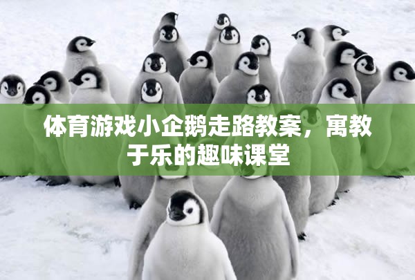 寓教于樂(lè)，小企鵝走路的體育游戲教案