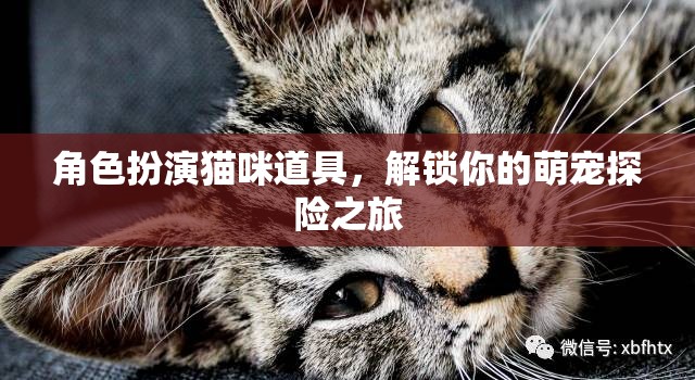 萌寵探險，解鎖你的貓咪角色扮演之旅