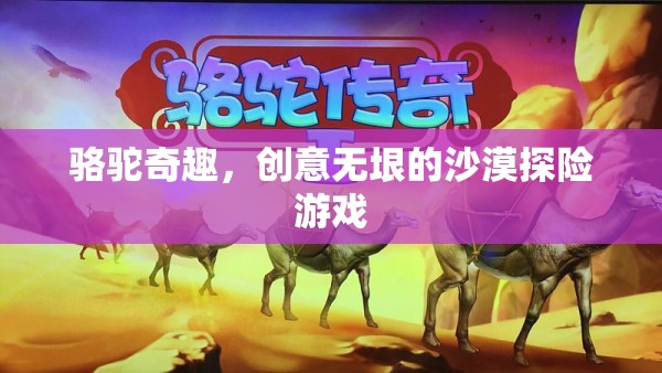 駱駝奇趣，創(chuàng)意無垠的沙漠探險(xiǎn)之旅