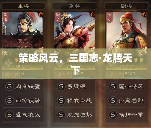 三國志·龍騰天下，策略風(fēng)云的史詩篇章