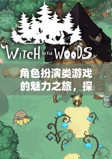 角色扮演類游戲的魅力之旅，探索、創(chuàng)造與沉浸的奇幻世界