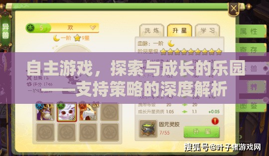自主游戲，探索與成長(zhǎng)的樂(lè)園