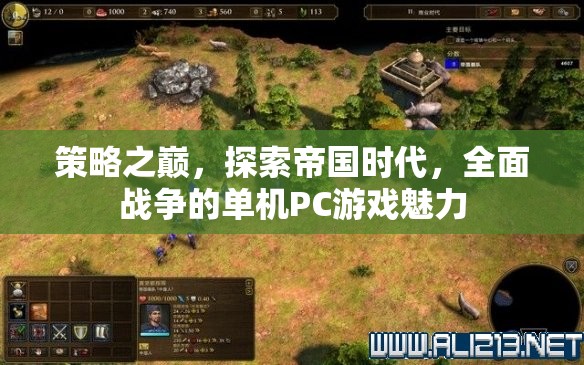 策略之巔，探索帝國時(shí)代與全面戰(zhàn)爭的單機(jī)PC游戲魅力