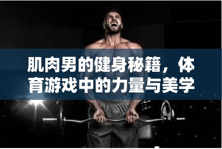 肌肉男的健身秘籍，體育游戲中的力量與美學(xué)