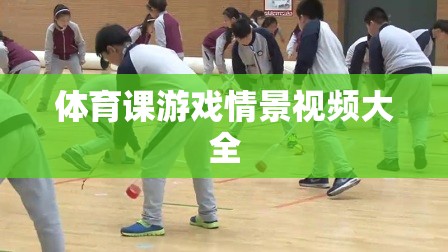 體育課堂上的歡樂(lè)時(shí)光，游戲情景視頻精選集