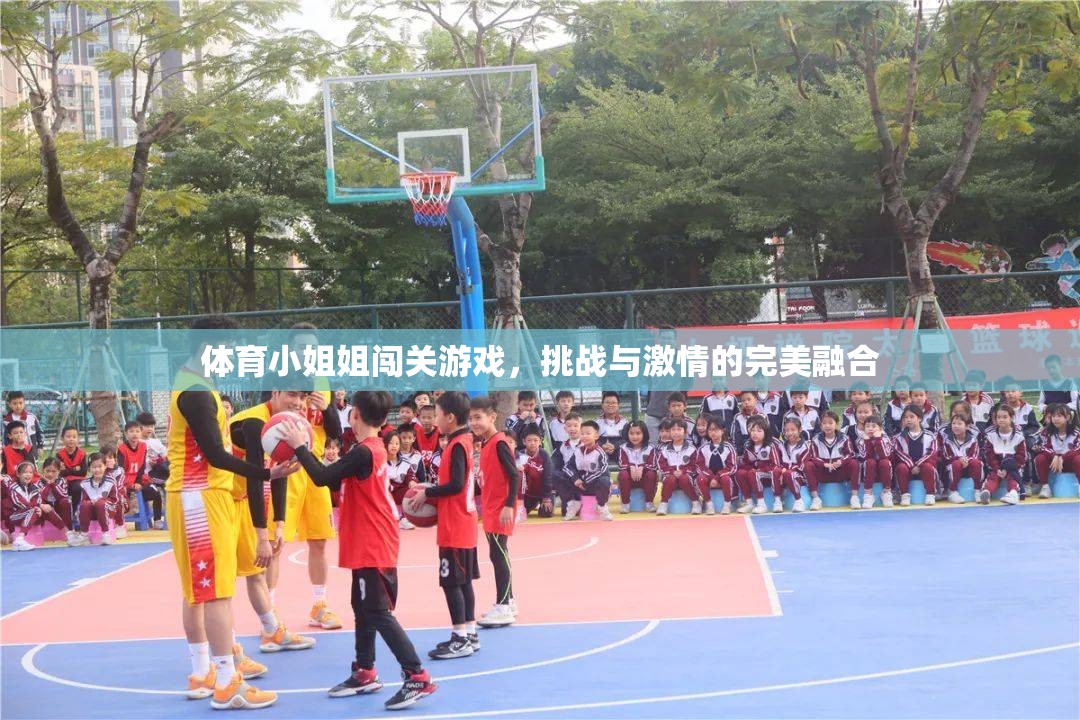 體育小姐姐的挑戰(zhàn)之旅，激情與勇氣的完美碰撞