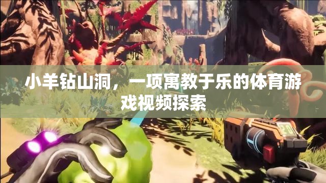 寓教于樂，小羊鉆山洞——探索體育游戲的樂趣與教育意義
