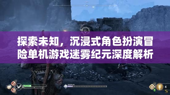 迷霧紀(jì)元，探索未知的沉浸式角色扮演冒險(xiǎn)游戲深度解析