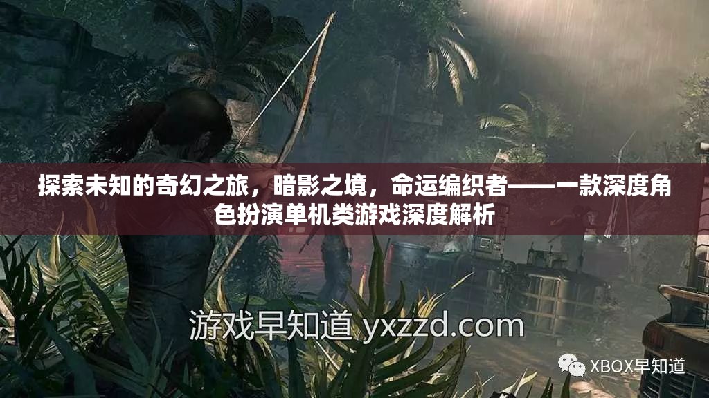 暗影之境，命運編織者的奇幻之旅——深度解析這款角色扮演單機游戲