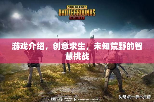 智慧挑戰(zhàn)，創(chuàng)意求生在未知荒野的生存游戲