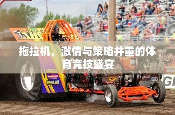 拖拉機，激情與策略交織的體育競技盛宴