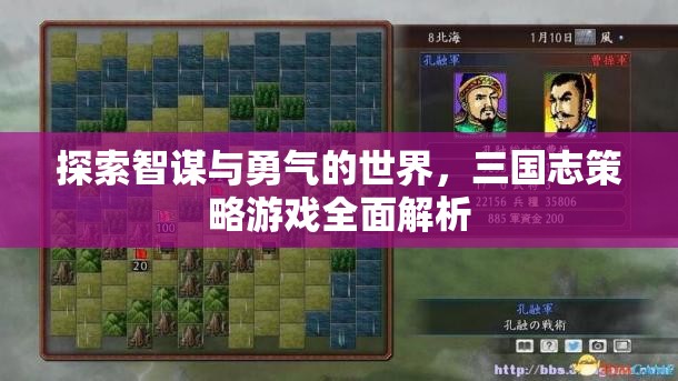 智勇雙全，全面解析三國志策略游戲