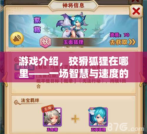 狡猾狐貍在哪里，智慧與速度的體育冒險