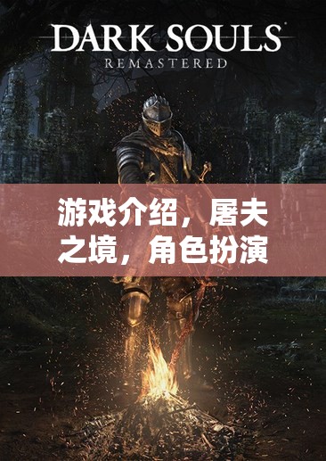暗黑藝術(shù)之境，屠夫的挑戰(zhàn)——深度解析角色扮演游戲