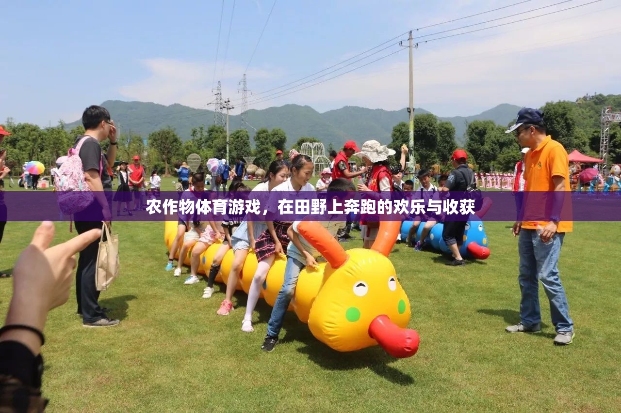 田野上的奔跑與收獲，農(nóng)作物體育游戲的歡樂(lè)時(shí)光
