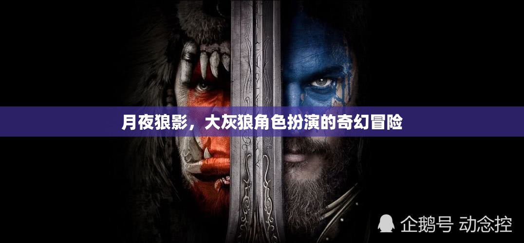 月夜狼影，大灰狼的奇幻冒險之旅