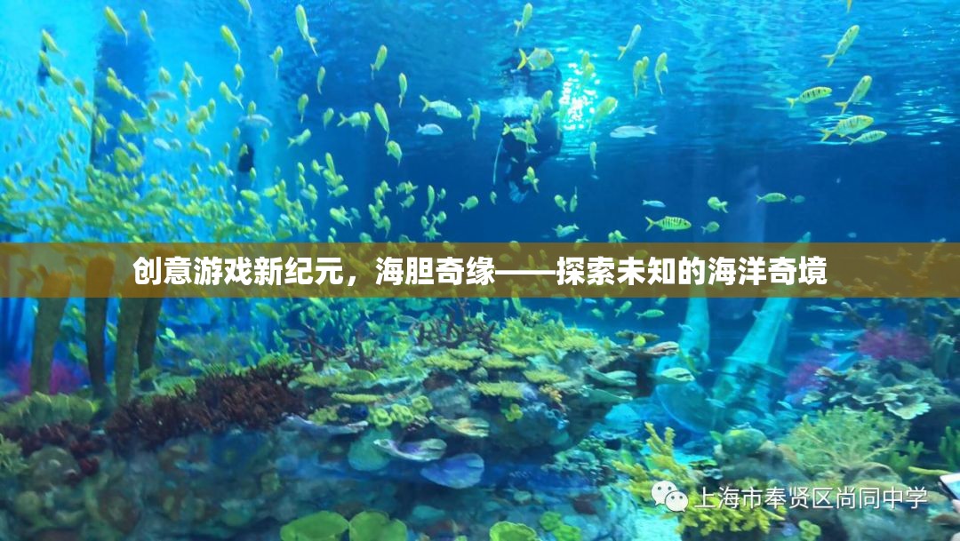 海膽奇緣，解鎖創(chuàng)意游戲新紀(jì)元，探索未知的海洋奇境