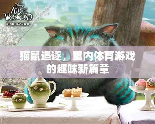 貓鼠追逐，室內(nèi)體育游戲的新奇樂趣