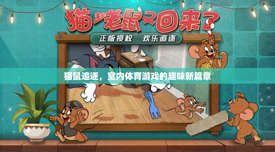 貓鼠追逐，室內(nèi)體育游戲的新奇樂趣