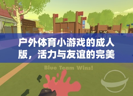 戶外體育小游戲的成人版，活力與友誼的完美融合