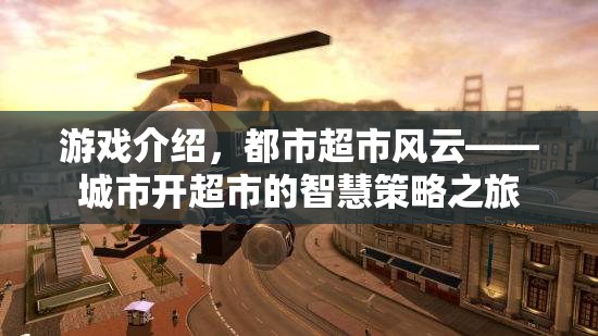 都市超市風(fēng)云，智慧策略與城市經(jīng)營(yíng)的冒險(xiǎn)