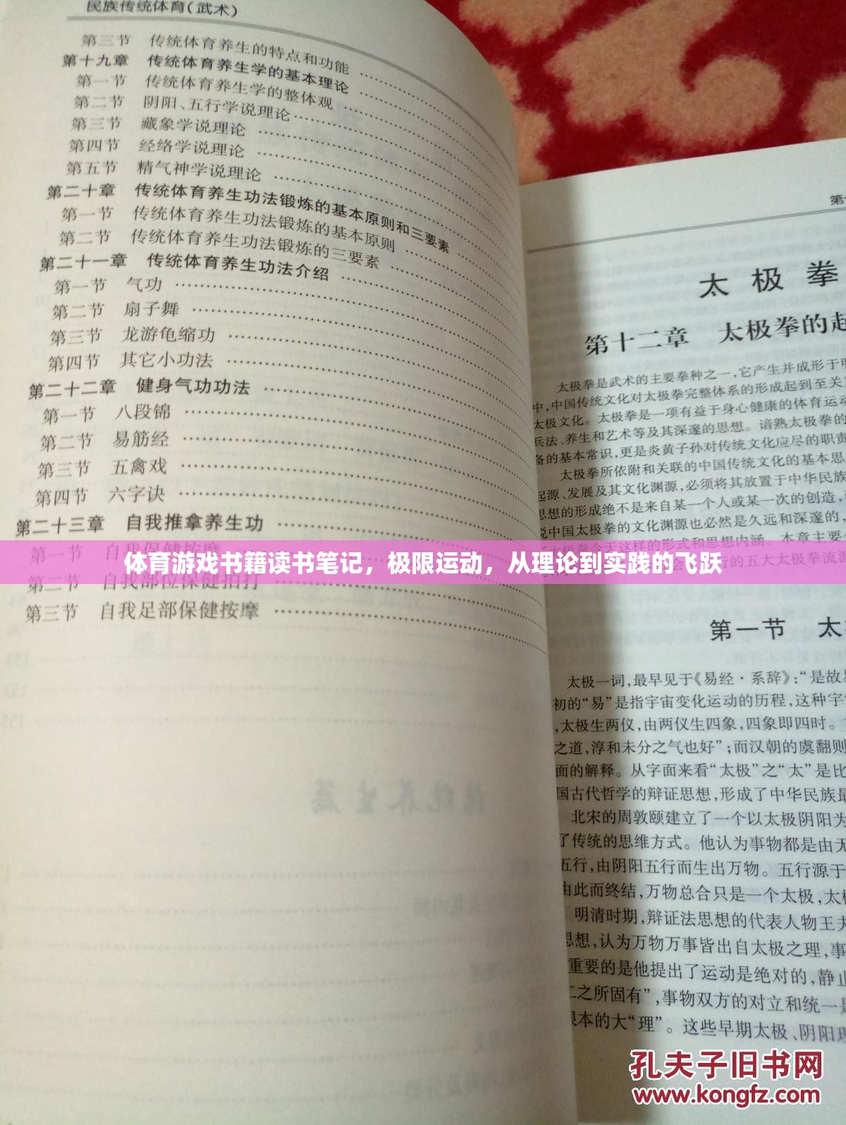 極限挑戰(zhàn)，體育游戲書籍中的理論與實(shí)踐飛躍