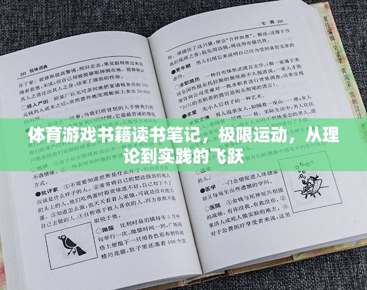 極限挑戰(zhàn)，體育游戲書籍中的理論與實(shí)踐飛躍