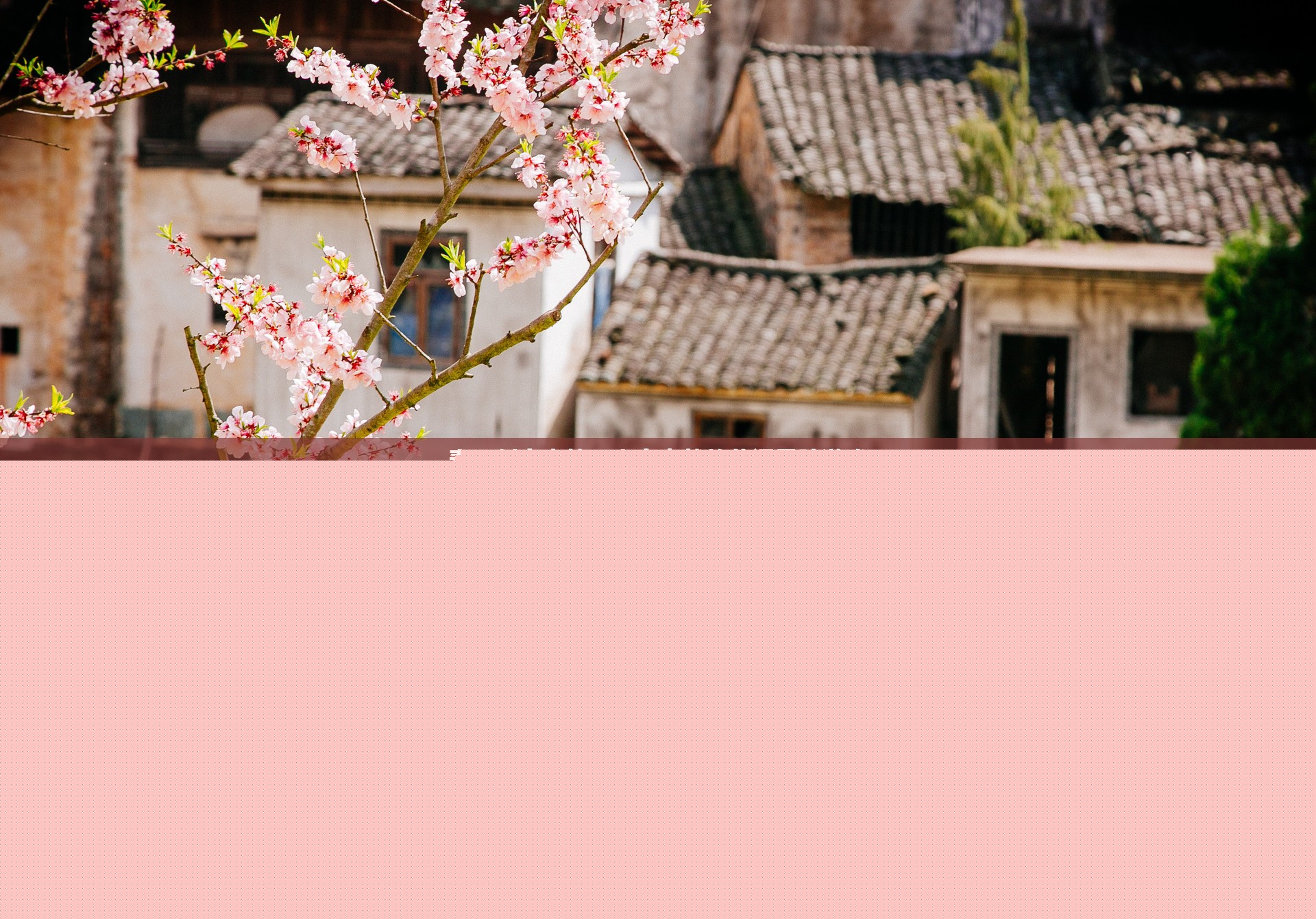 春日創(chuàng)意小筑，一場花語尋蹤的浪漫之旅  第2張