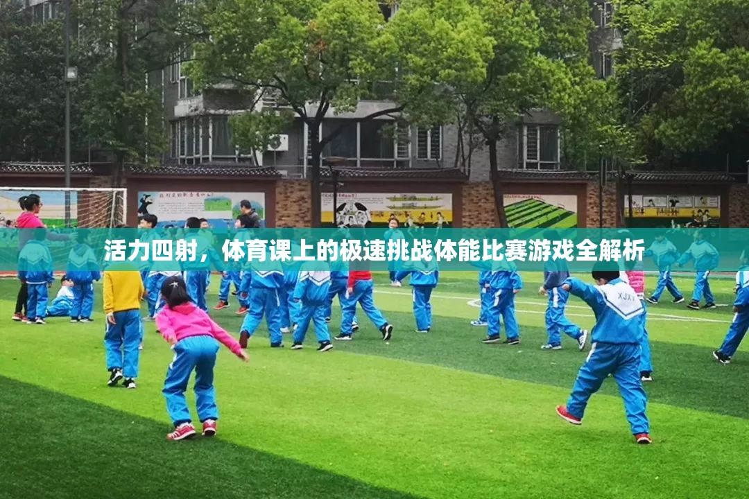 體育課上的極速挑戰(zhàn)，一場(chǎng)活力四射的體能比賽游戲全解析